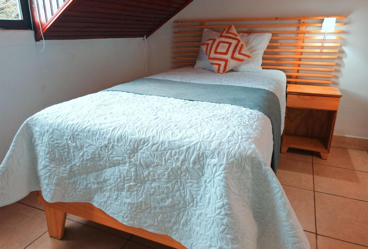 Trebol Amarillo Bed & Breakfast Escazu Ngoại thất bức ảnh